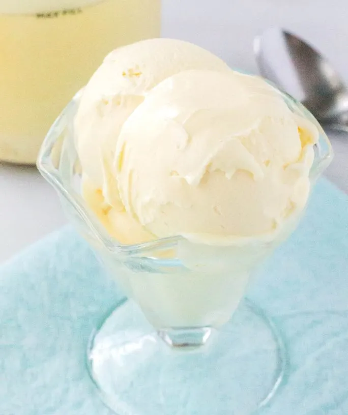 close-up of two scoops of ninja creami vanilla pudding ice cream served in a glass ice cream dish