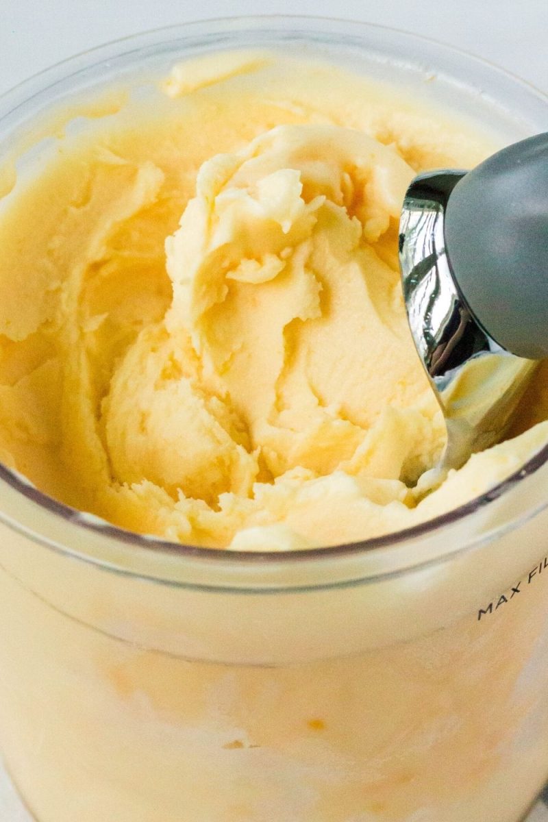 Ninja Creami Orange Sherbet I Dream of Ice Cream