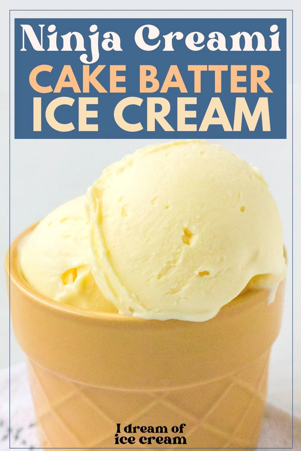 https://idreamoficecream.com/wp-content/uploads/2023/06/Easy-Ninja-Creami-Cake-Batter-Ice-Cream-Recipe.jpg.webp