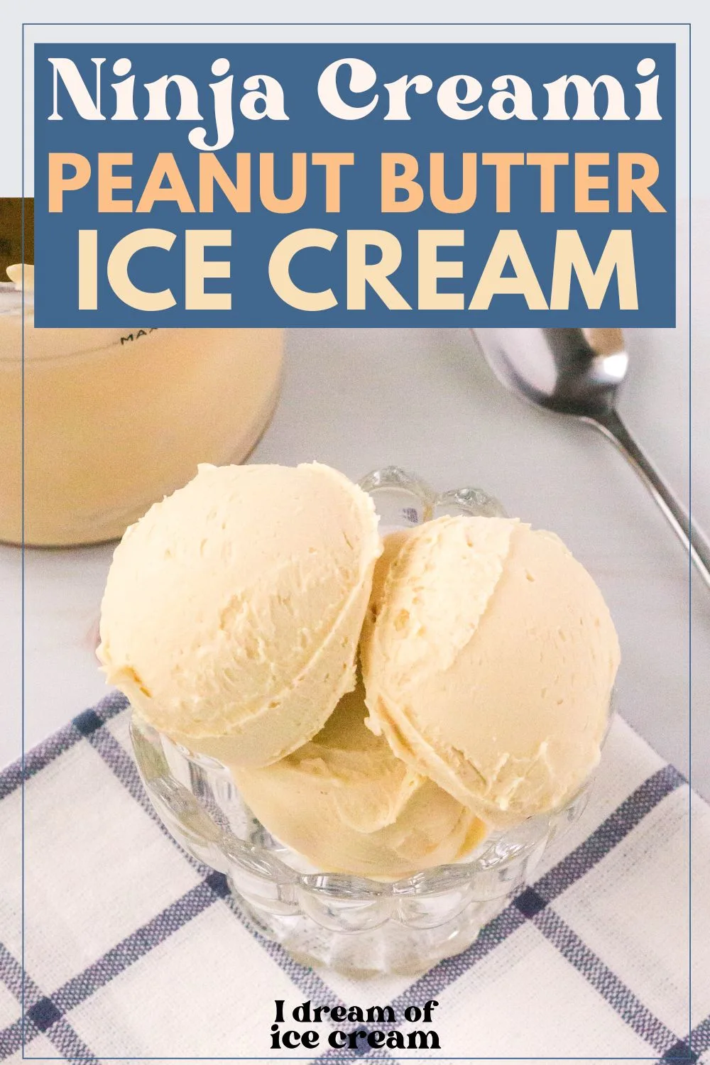 https://idreamoficecream.com/wp-content/uploads/2023/06/Ninja-Creami-Peanut-Butter-Ice-Cream.jpg.webp