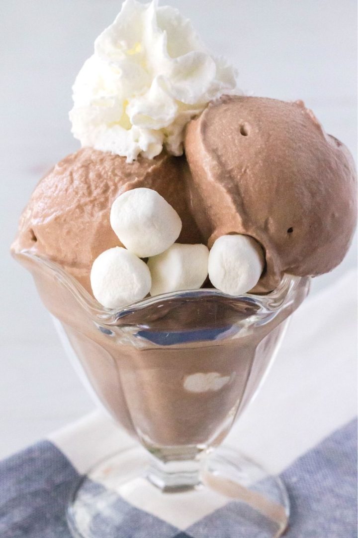 Ninja Creami Frozen Hot Chocolate Ice Cream I Dream of Ice Cream