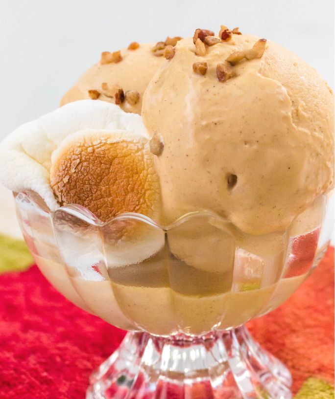 Ninja Creami Sweet Potato Ice Cream - I Dream of Ice Cream