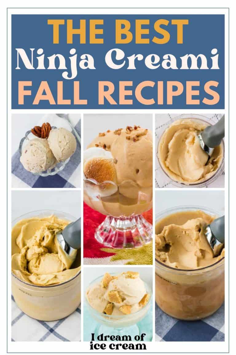 15-most-delicious-ninja-creami-recipes-for-fall-i-dream-of-ice-cream