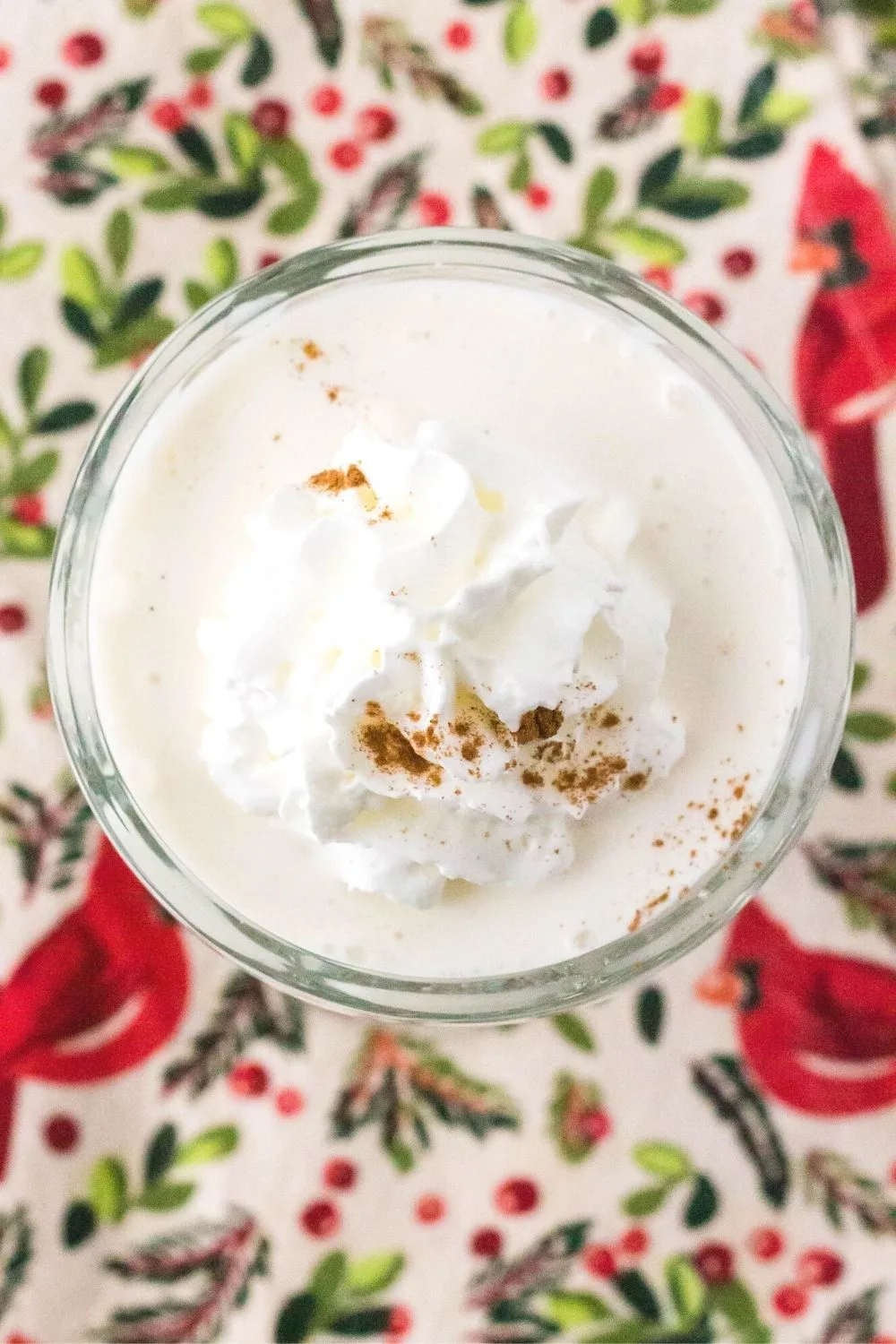 overhead view of a serving of ninja creami milkshake with eggnog, topped with whipped cream and cinnamon.