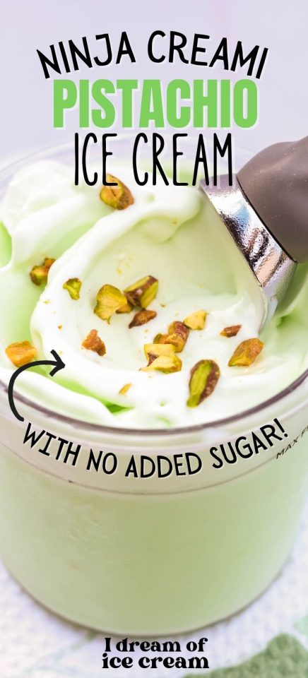 SUGAR FREE ICE CREAM IN NINJA CREAMI visual data 2