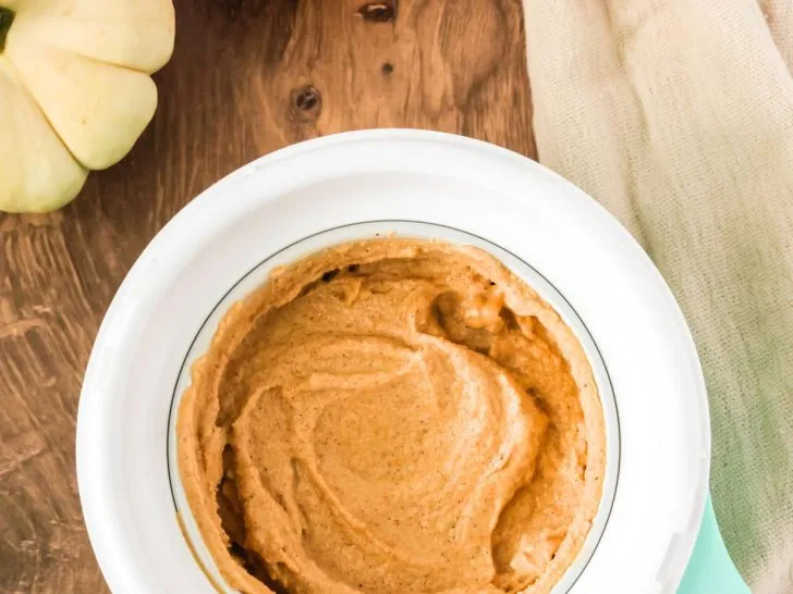 Dash My Mug pumpkin ice cream served in the Mug bowl. Two pumpkins are next to the bowl.