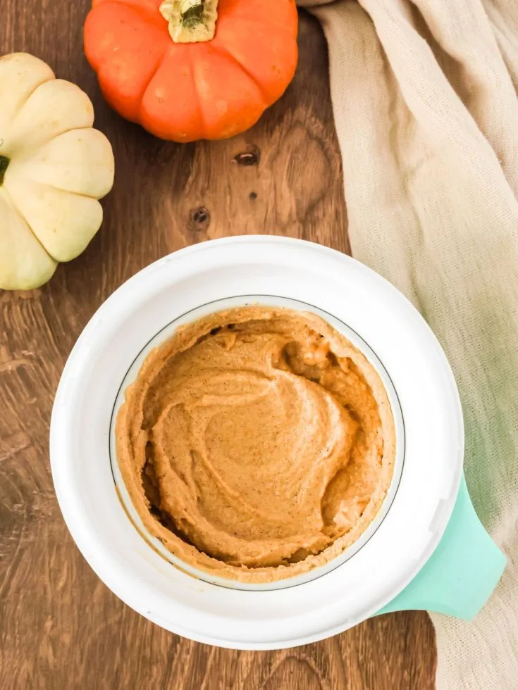 Dash My Mug pumpkin ice cream served in the Mug bowl. Two pumpkins are next to the bowl.